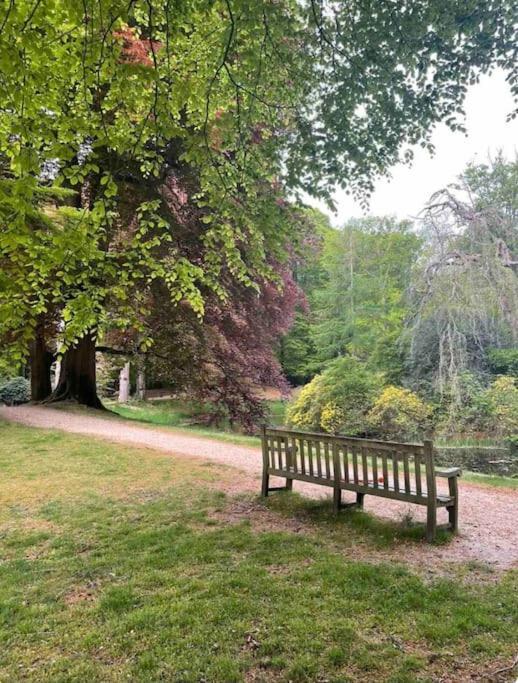 Magical Cottage In The Woods Baarn Exteriör bild