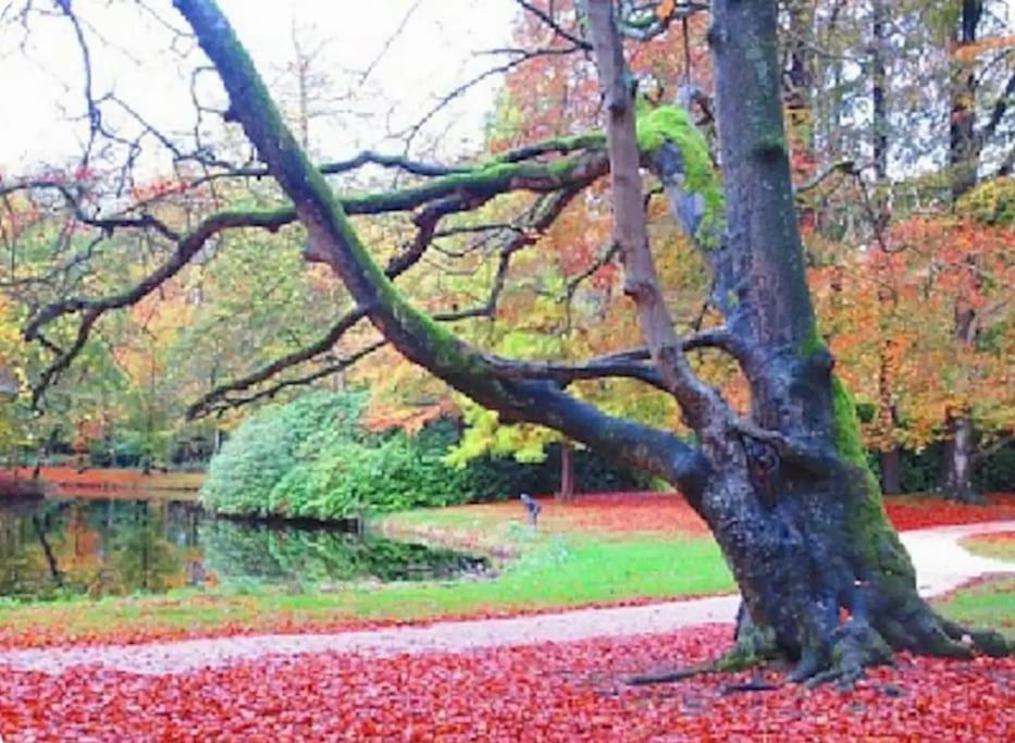 Magical Cottage In The Woods Baarn Exteriör bild